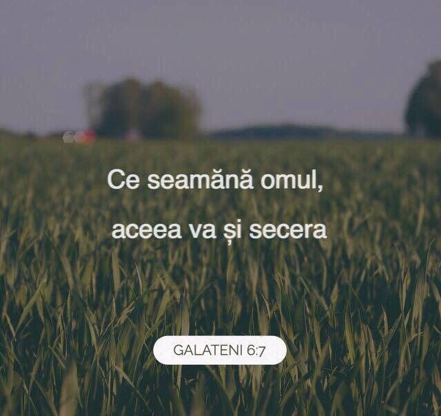 ADEVĂRURI despre VIAȚĂ