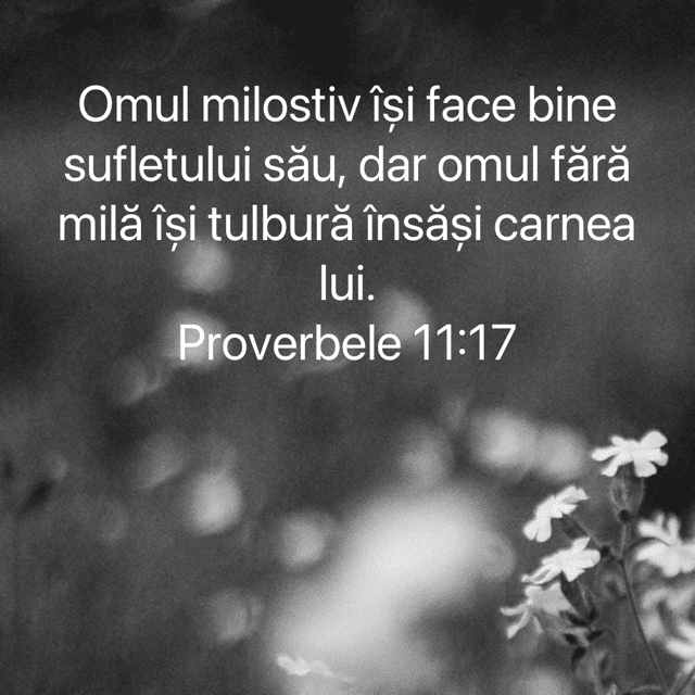 Versetul de aur pentru mine și tine