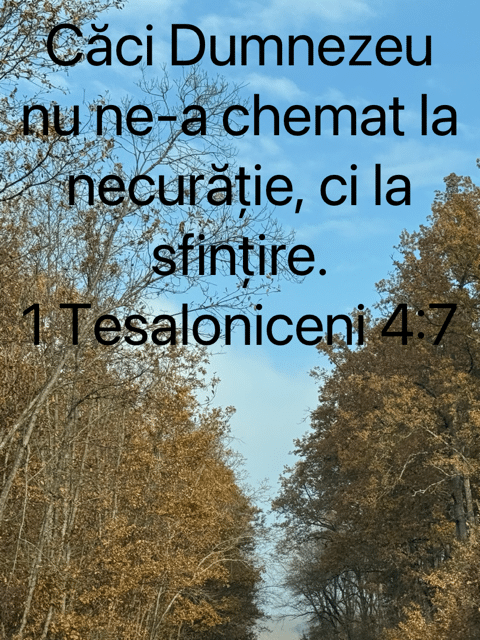 Versetul de aur pentru mine și tine