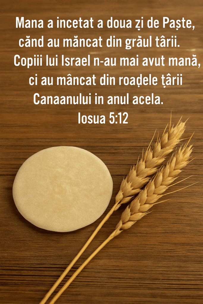 Trecerea de la mana cerească la roadele pământului - dininimapentrutine.ro